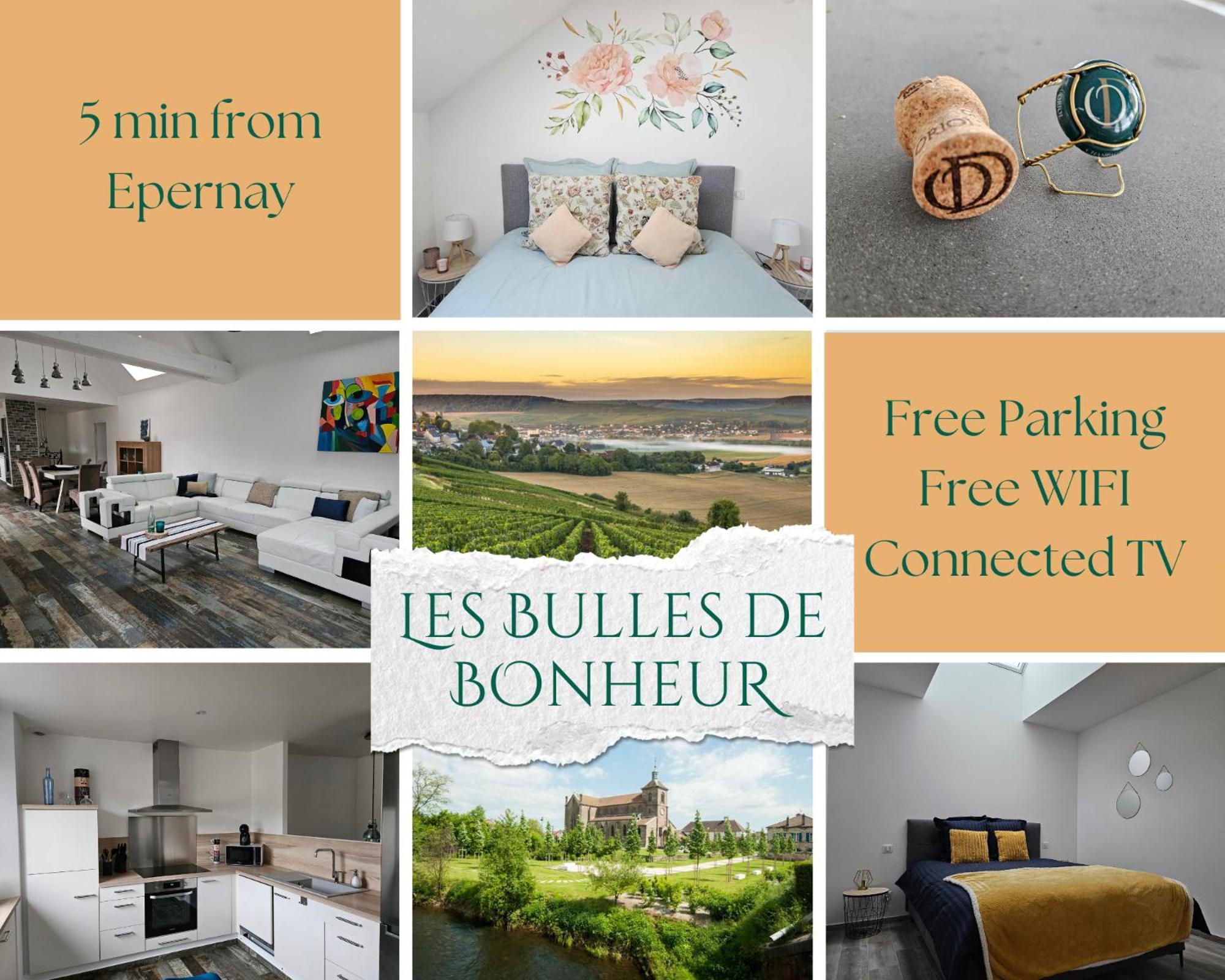 Les Bulles De Bonheur - Au Coeur Du Vignoble Champenois Apartment Chouilly Exterior photo